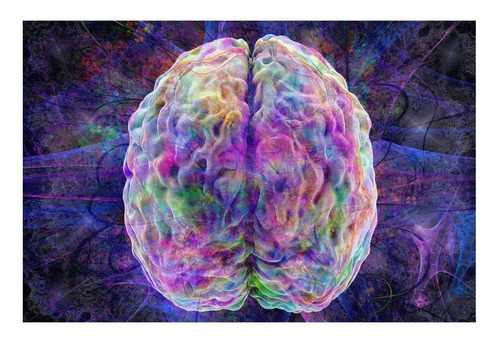 Vinilo 20x30cm Neurona Cerebro De Colores Arte Diseño