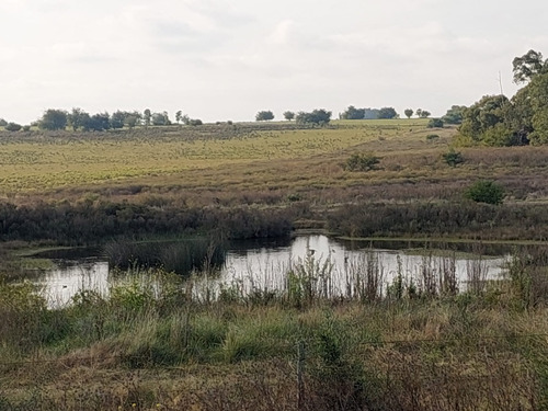 Imagen 2 de 5 de Vendo 44 Hás De Campo En Cerro De Las Armas Sin Construcciones