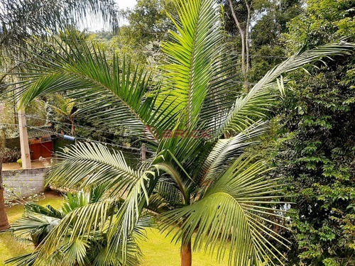 Imagem 16 de 30 de Casa Com 4 Dormitórios, 260 M², R$ 420.000 - Santa Rita - Teresópolis/rj. - Ca01671 - 69297224