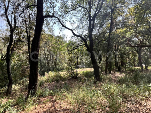 Terrenos Ecológicos En Venta, Santa Rosa Xochiac, Álvaro Obregón, Cdmx
