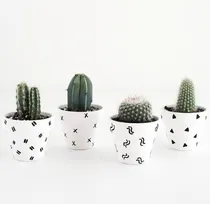 Comprar Souvenirs Plantitas 