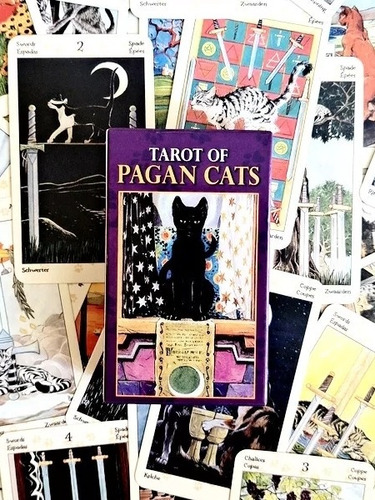 Tarot Of Pagan Cats Gatos Paganos Multilenguaje Español 6x10