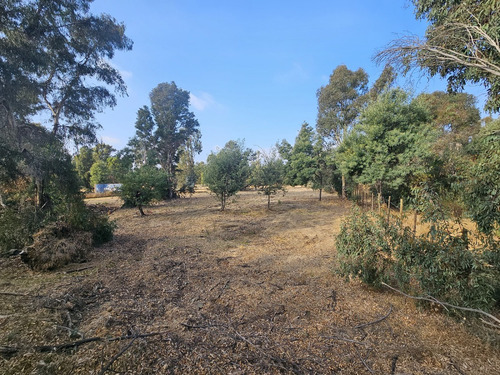 Vendo Sitio De 5580 M2 En Queronque Los Laureles Limache.