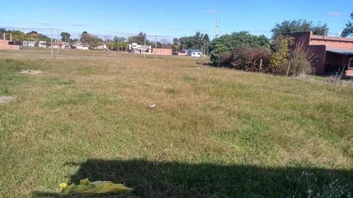 Lote | Antartida Argentina, A.