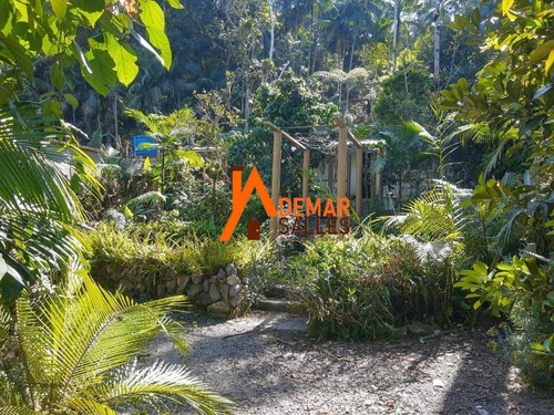 Chacara - Ch00070 - 68404951