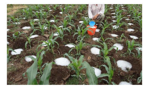 Gel Hidrogel Agricola P/ Plantio 5kg