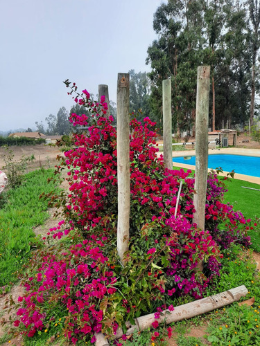 3 Dormitorios 2 Baños, Quincho,container De Bodega.piscina .