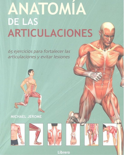 Anatomia De Las Articulaciones