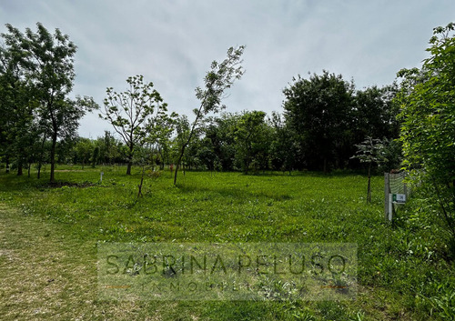 Venta Lote - Las Tres Marias - Moreno - Ruta 25