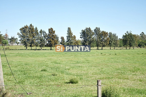 Imagen 15 de 19 de Chacra San Carlos Ruta 9