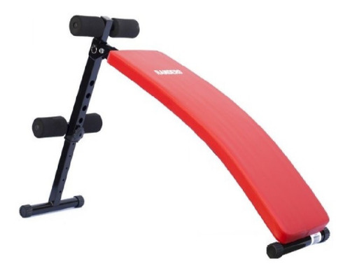 Imagen 2 de 7 de Banco De Abdominales Arg-203 Randers + Mini Bike Jy-8207