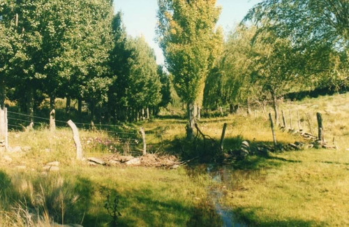 Imagen 16 de 22 de Traslasierra - Estancia Aguas Del Tala - Pueblo Ambul - Pampas Del Pocho - 383has Cercadas A La Venta En Una Zona De Crecimiento Constante - Mina Clavero - Cordoba
