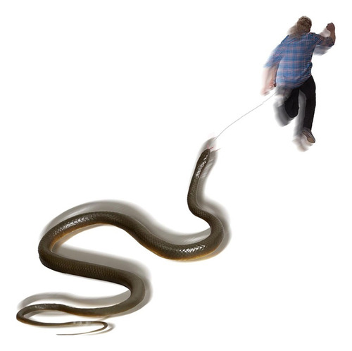 Golf Snake Prank, Snake On A String Prank Props