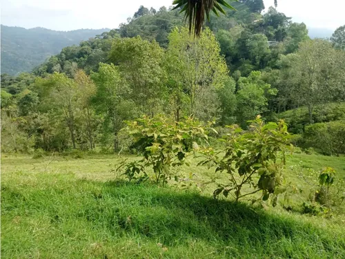 Vendo Finca Reventones Anolaima