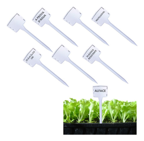 Kit 50 Plaquinhas 22cm Para Identificação De Plantas Hortas