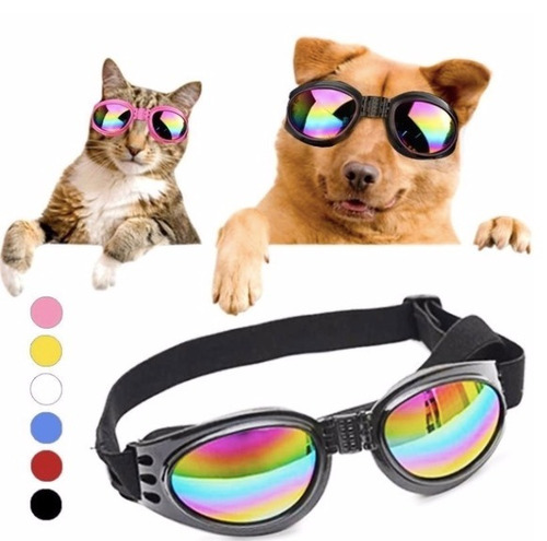 5 Gafas Perros Proteccion Uv Envio Gratis