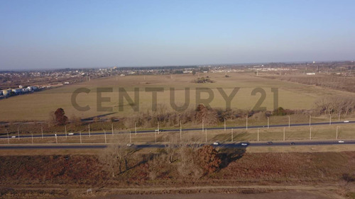 Venta De Campo, Capitán Bermúdez | Valor X Hectárea