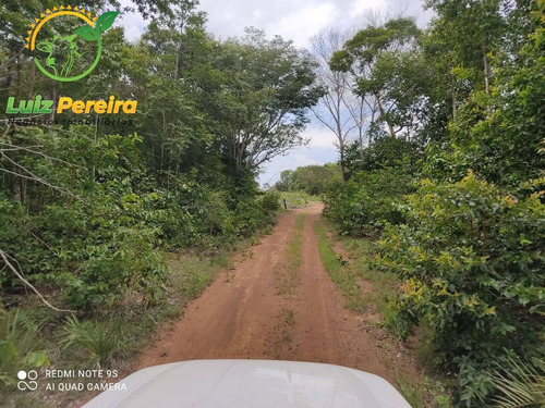 Imagem 3 de 6 de Fazenda Á Venda Em São Valério - To - De 276 Alqueirões (pecuária) - 1772