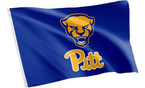 Bandera De La Universidad De Pittsburgh, Panthers Pitt, Band