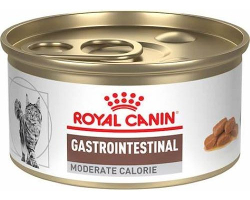 Royal C Gastro  Moderate Calor 