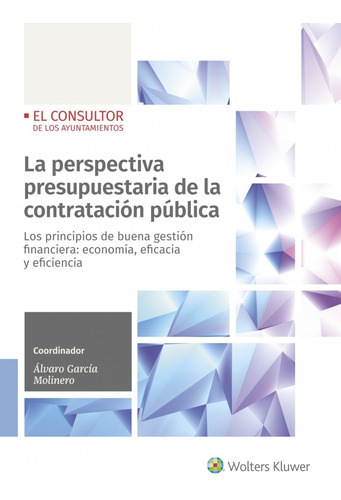 La Perspectiva Presupuestaria De La Contratación Pública