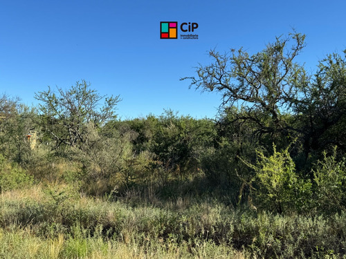 Venta De Lote Céntrico En Cortaderas