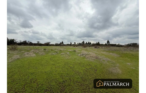Parcela En Venta Sector Talquita, Parral