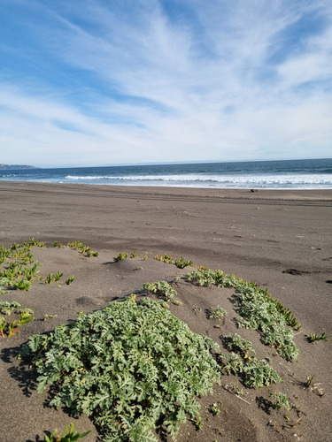 Parcela En Pelluhue, Tregualemu, A Pasos De Playa. Oferta