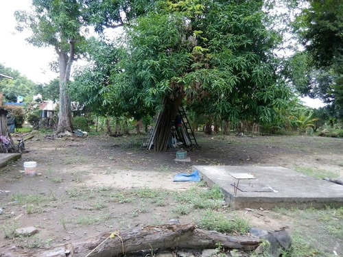 Terrenos En Venta En Ojite Veracruz, Casa Ypalapa
