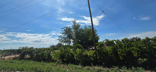 Venta Finca El Carrizal