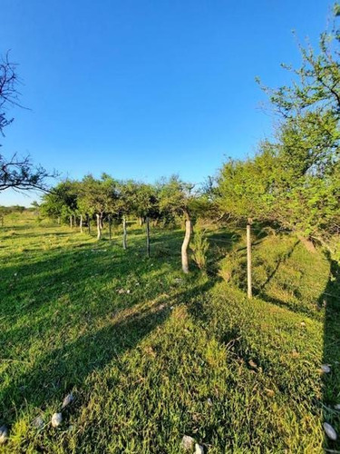 Imagen 26 de 29 de Oportunidad Campo Ganadero En Federal Entre Ríos