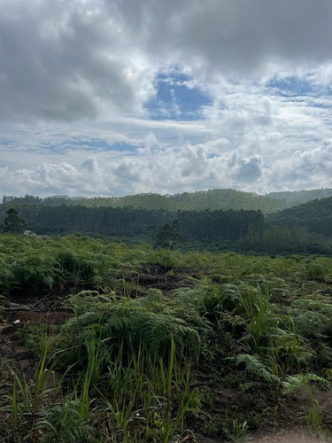 Imagem 17 de 30 de 51- Terrenos Em Mogi Das Cruzes Com Mil Metros
