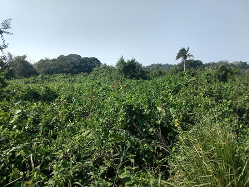Venta Terreno 5,633 M² Sobre Carretera Juana Moza Tuxpan Veracruz