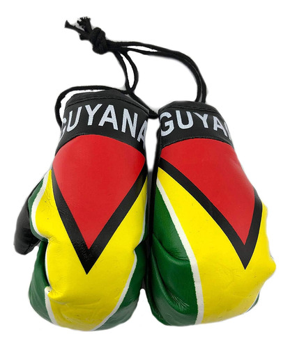 Latinos R Us Guyana Flag Mini Guante De Boxeo