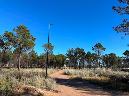 Lotes En Venta Reserva Darwin!! Balneario Pehuen Co