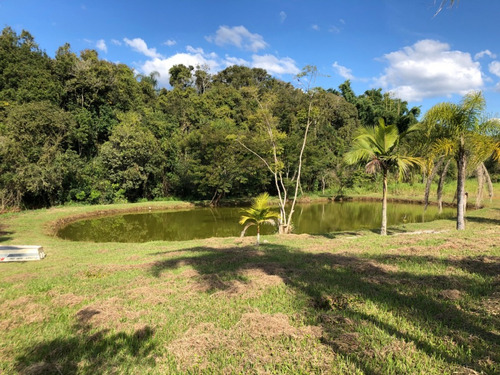 Imagem 10 de 30 de Chácara Com Lago E Nascente Em Ibiúna Cod: 1082