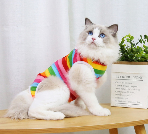 Traje De Recuperación Cirugía Para Perro Gato Esterilización