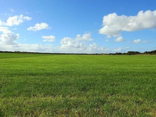 Imagem 5 de 14 de S12- Terrenos Excelentes Para Chácaras,1000m Plaino
