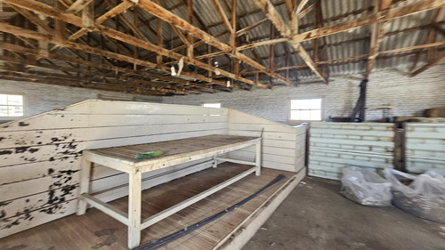 Campo En Santa Cruz