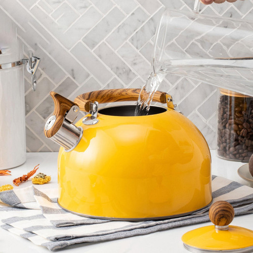 Whistling Kettle Stovetop Kettle 2.5 L Se Calienta