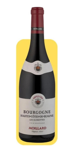 Vinho Tinto Moillard Bourgogne Pinot Noir 750ml