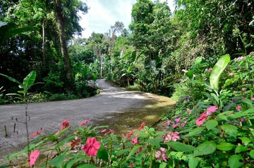 Imagem 9 de 30 de Casa Com 6 Dormitórios À Venda, 1000 M² Por R$ 22.000.000,00 - Frade (cunhambebe) - Angra Dos Reis/rj - Ca0526