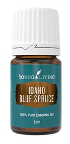 Pícea Azul De Idaho, Young Living + Obsequio