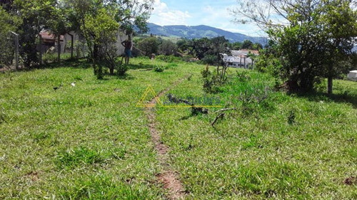 Imagem 1 de 6 de Terreno - Ref: V040021