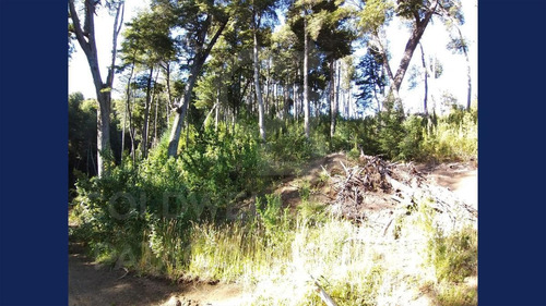 Imagen 6 de 18 de Venta Lote/terreno Con Financiación De 1246,42 M2 Uf 2 - Faldeo Del Bayo, Villa La Angostura