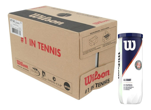 Caja De Pelotas Wilson Roland Garros X3 - 24 Tarros