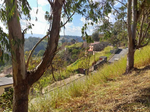 Imagen 5 de 6 de Terreno 1300m2 Colinas De Carrizal