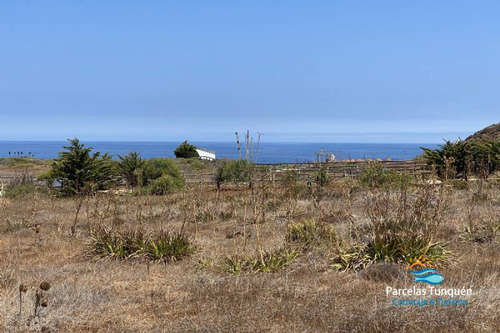 Parcela 29c Punta De Gallo, Tunquén