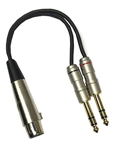 Studio Z Xlr 6 Puntas Doradas De Cable Divisor Y, 3 Conector