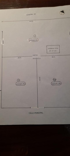 Imagen 9 de 9 de Venta De Fraccion 3.5 Ha San Andrés De Giles - Cucullu
